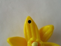 daffodil hole