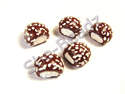 Fimo Coconut Snowball Bitten Charm Beads Tiny Pk 10