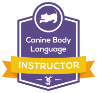 DTCICBadges01 (1)