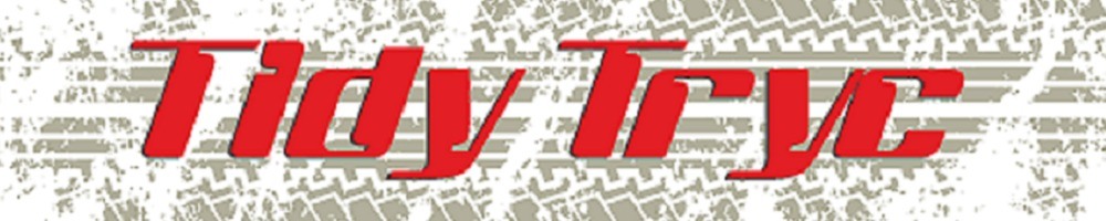 TIDY TRYC online, site logo.