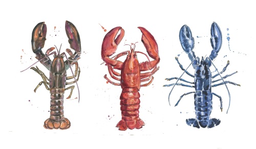 Lobsters