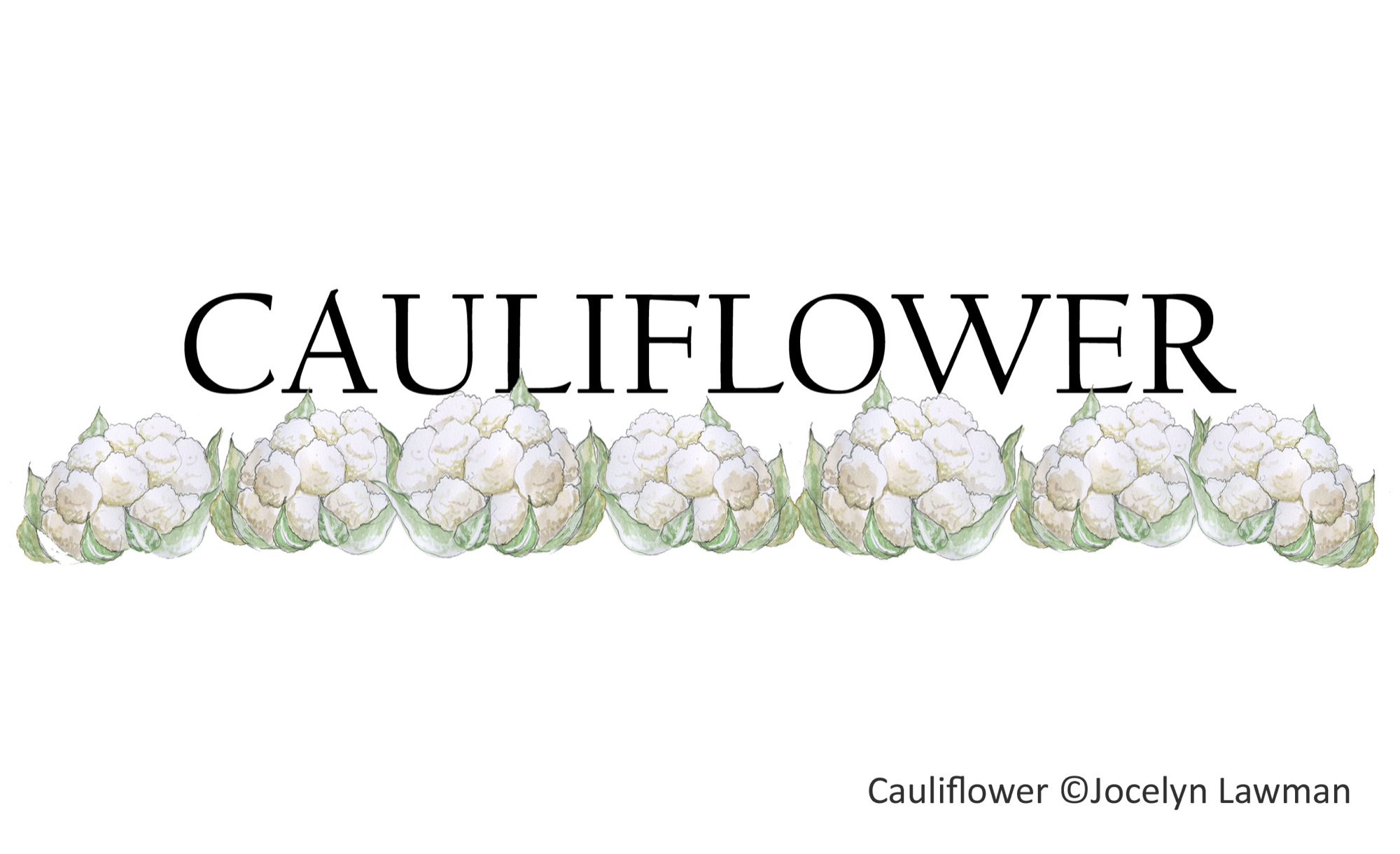 Cauliflower copy.jpg