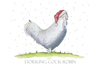 Dorking Cock - pack of Christmas cards