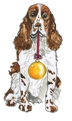 Spaniel - pack of Christmas cards