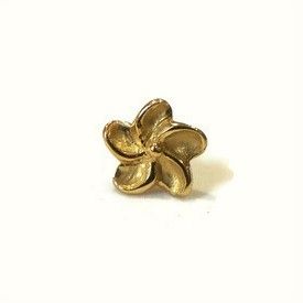 Frangipani, 18 carat yellow gold, front only