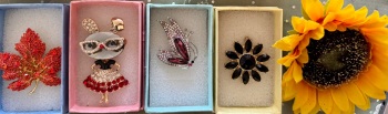 Gift pack of 4 lovely brooches
