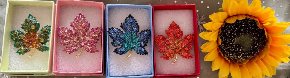 Gift pack of 4 lovely brooches