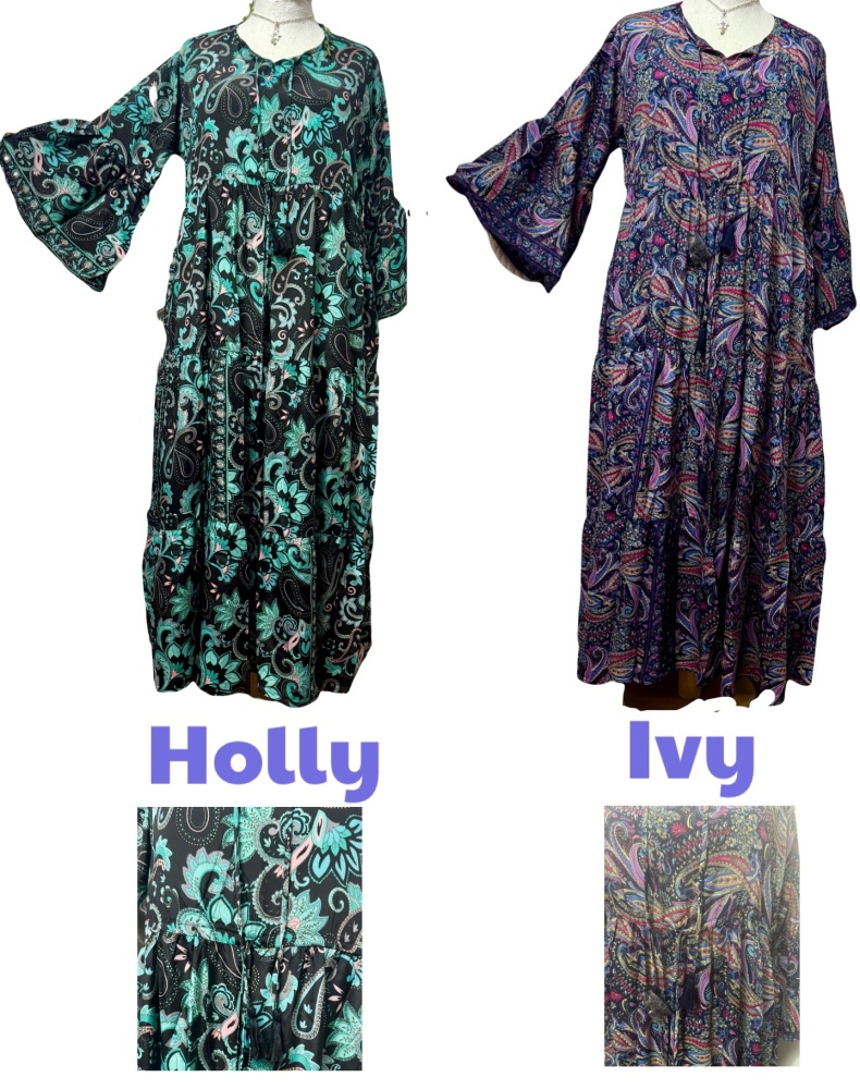 Isabella  frill sleeve dress 2 sizes