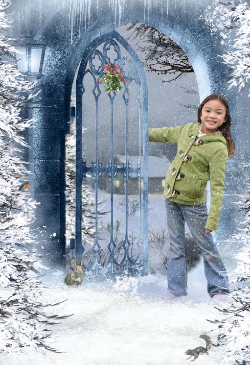 Winter Snow fantasy photo portrait