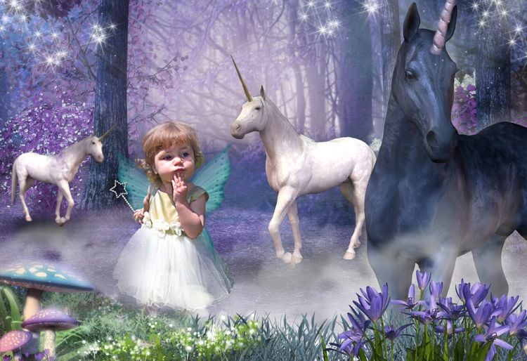Unicorn Forest fairy tale fantasy photo portrait