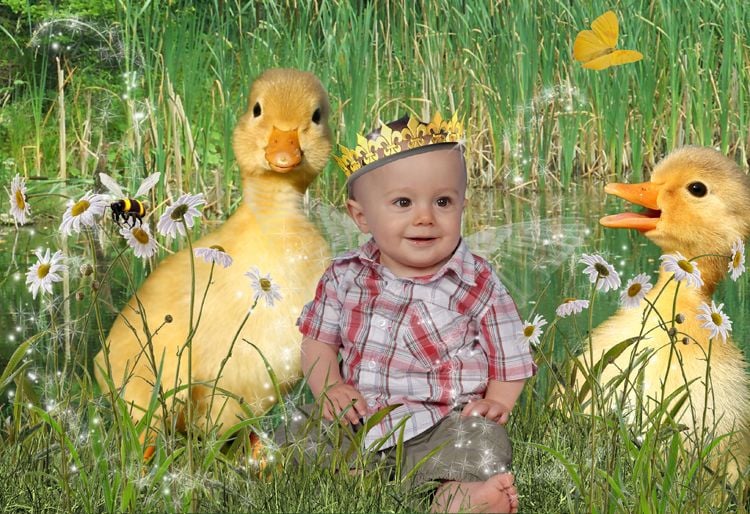 The Duck Pond fantasy photo portrait