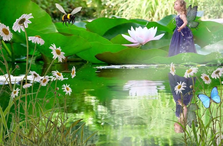 Lily Pond fairy tale fantasy photo portrait