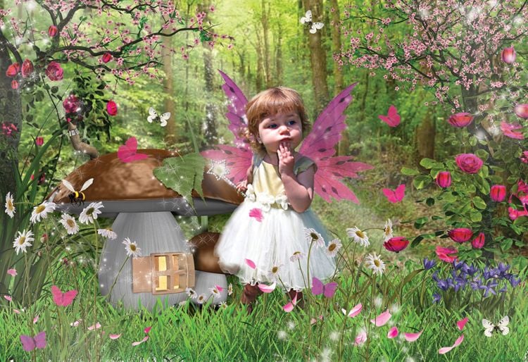 Toadstool Fairy fantasy photo portrait