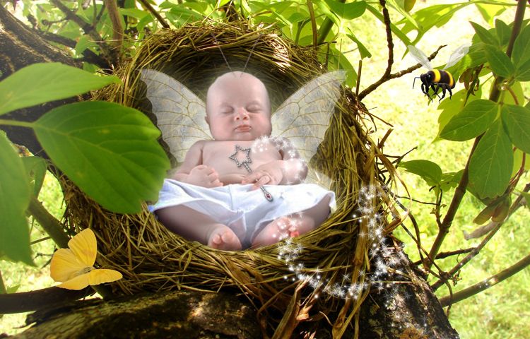 Tree Fairy fairy tale fantasy photo portrait