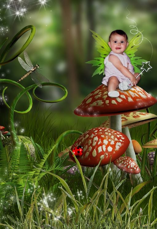 Forest Fairy fantasy photo portrait