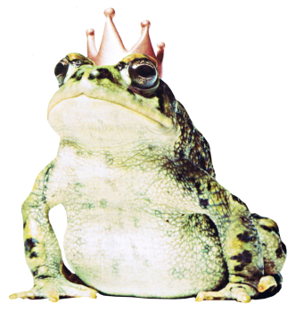 Frog Prince