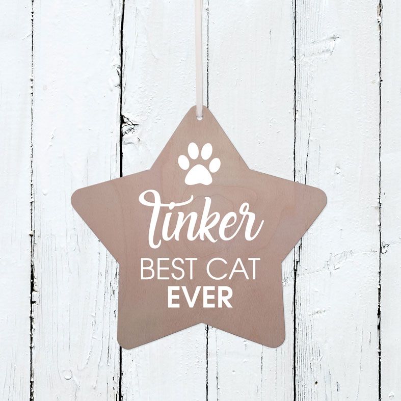 Personalised Best Cat Wooden Plaque | Handmade birch wood hanging sign, personalised gift for cat lover #catlovergift