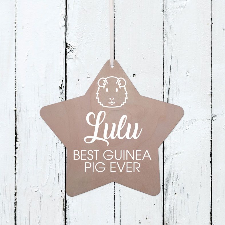 Personalised Best Guinea Pig Wooden Plaque | Handmade birch wood hanging sign, personalised gift for guinea pig lover #guineapiglovergift