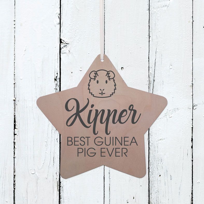 Personalised Wooden Best Guinea Pig Star Plaque | Handmade birch wood hanging star sign, range of contemporary designs