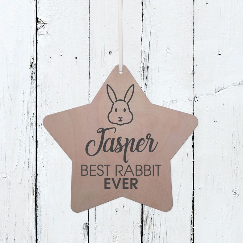 Personalised Wooden Best Rabbit Star Plaque | Handmade birch wood hanging star sign, range of contemporary designs #rabbitowner