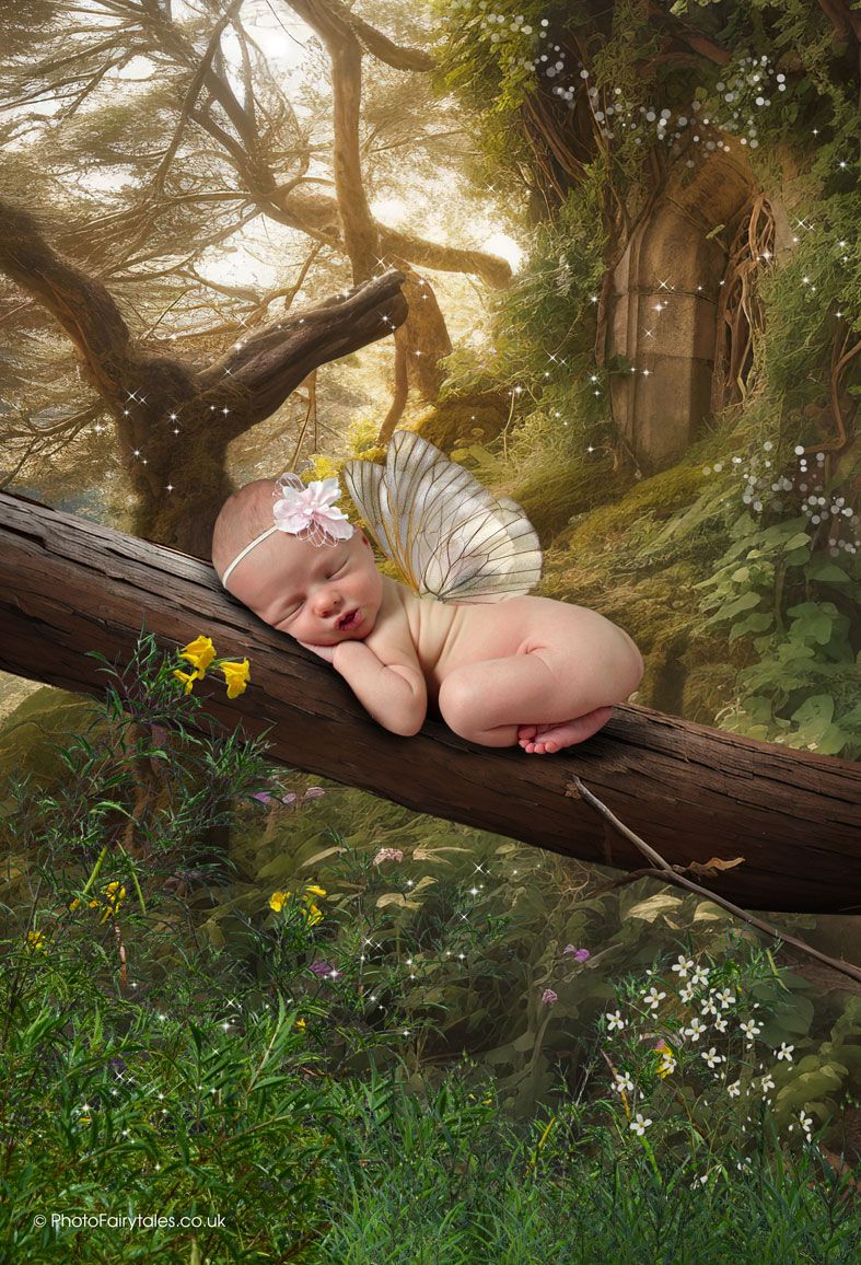 Greenwood Tree, bespoke fantasy image created from your own photo into unique personalised portrait and custom wall art | PhotoFairytales