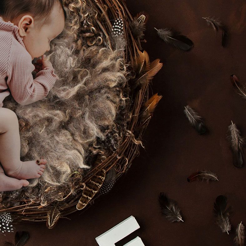 Feather Nest, bespoke fantasy image created from your own photo into unique personalised portrait and custom wall art | PhotoFairytales