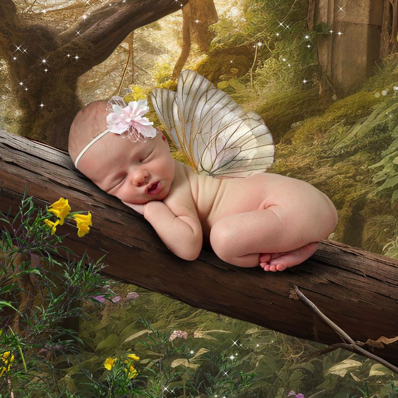 Fantasy Portrait fairy tale images created from your own photo, unique personalised wall art | PhotoFairytales