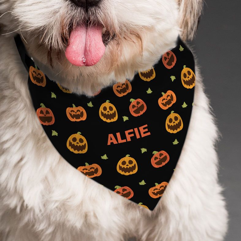 Personalised Halloween Pumpkin Dog Bandana | PhotoFairytales