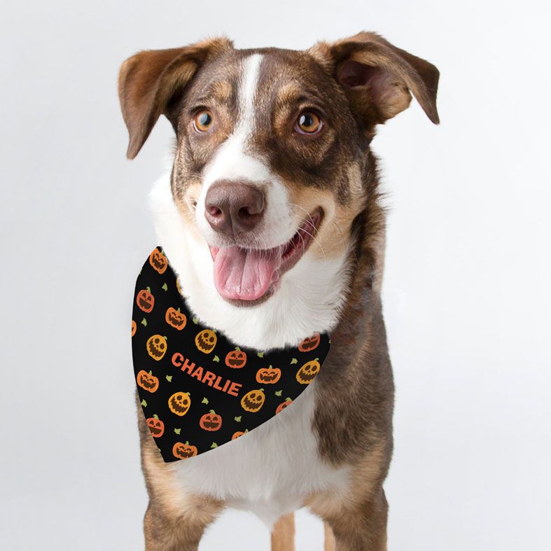 Personalised Halloween Pumpkin Dog Bandana | PhotoFairytales