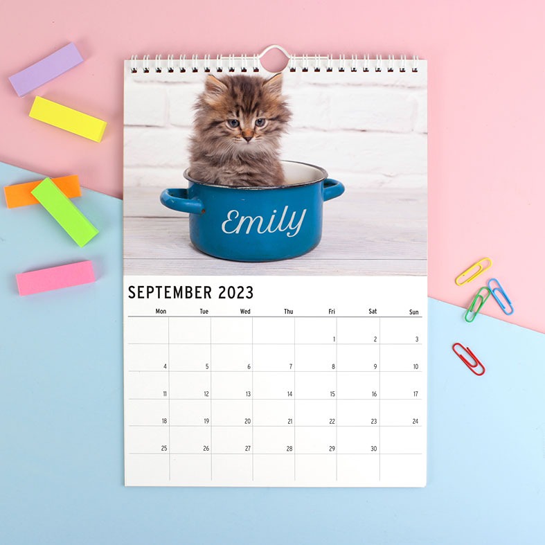 Cats and Kittens Personalised Calendar | A4 ring bound, start on any month of the year, great gift idea any cat lover from PhotoFairytales