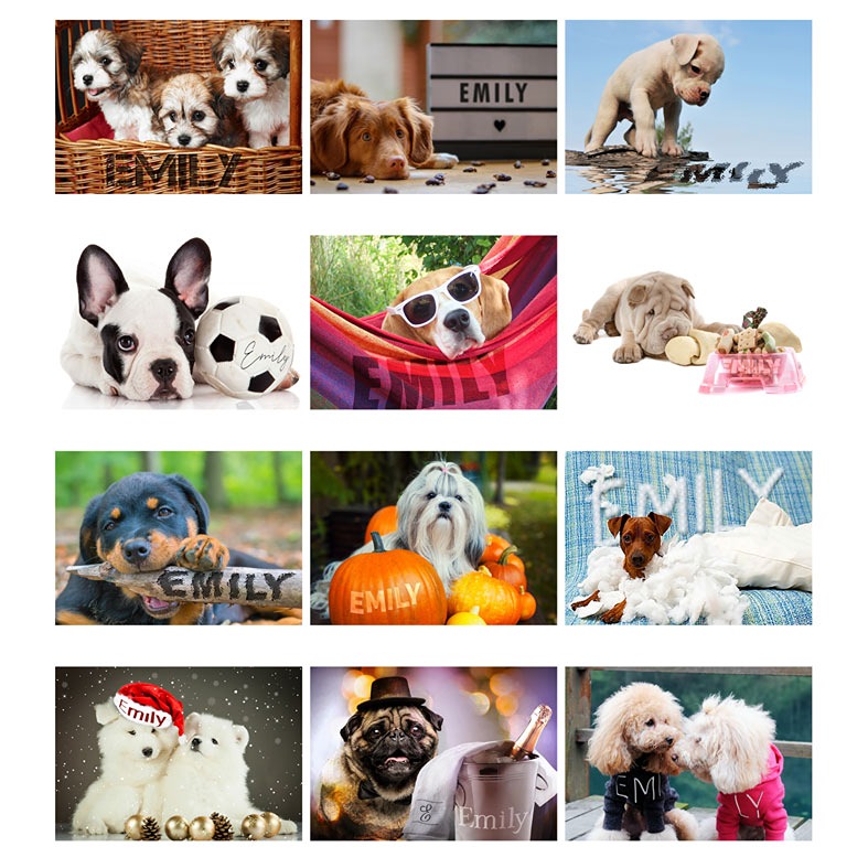 Barking Mad Personalised Dog Calendar |Great gift for anyone who loves dogs and puppies, A4 ring bound, start on any month of the year, from PhotoFairytales