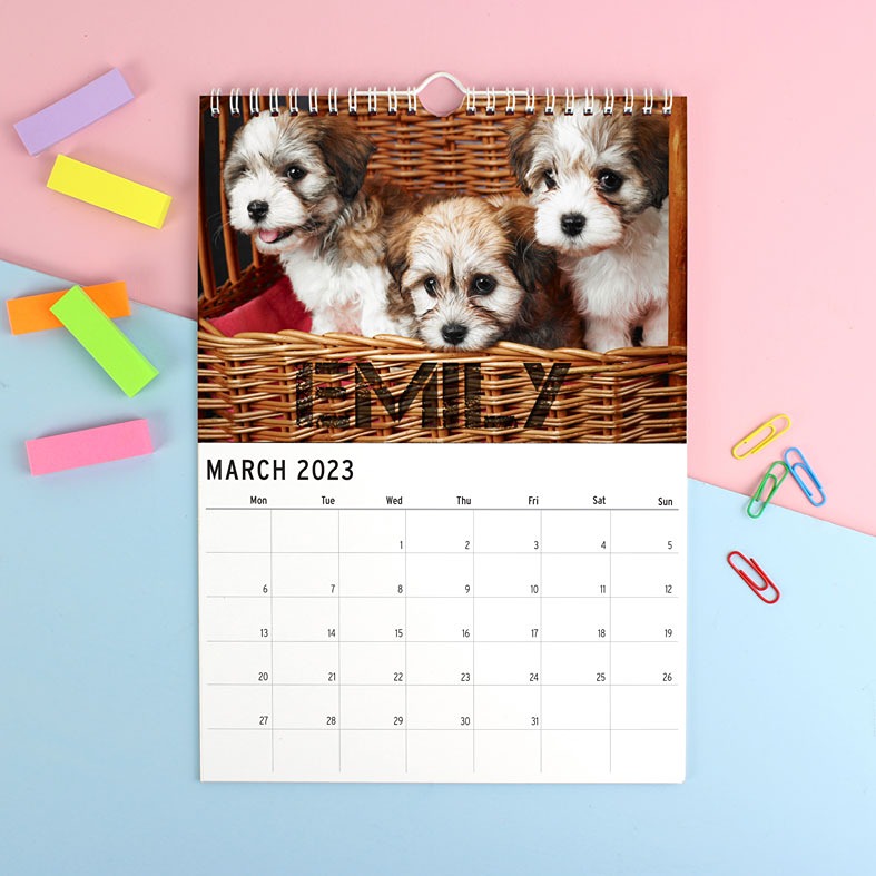 Barking Mad Personalised Dog Calendar |Great gift for anyone who loves dogs and puppies, A4 ring bound, start on any month of the year, from PhotoFairytales