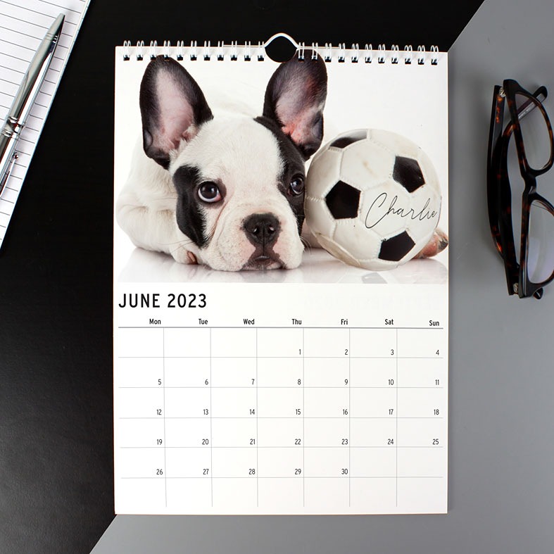 Barking Mad Personalised Dog Calendar |Great gift for anyone who loves dogs and puppies, A4 ring bound, start on any month of the year, from PhotoFairytales