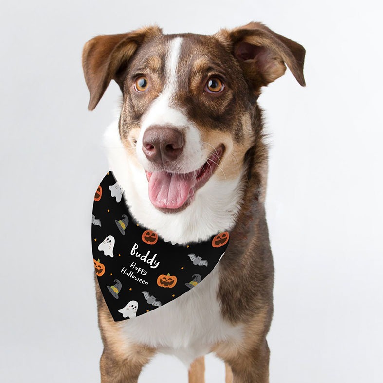 Personalised Halloween Ghost Dog Bandana | Dog Halloween Costume PhotoFairytales