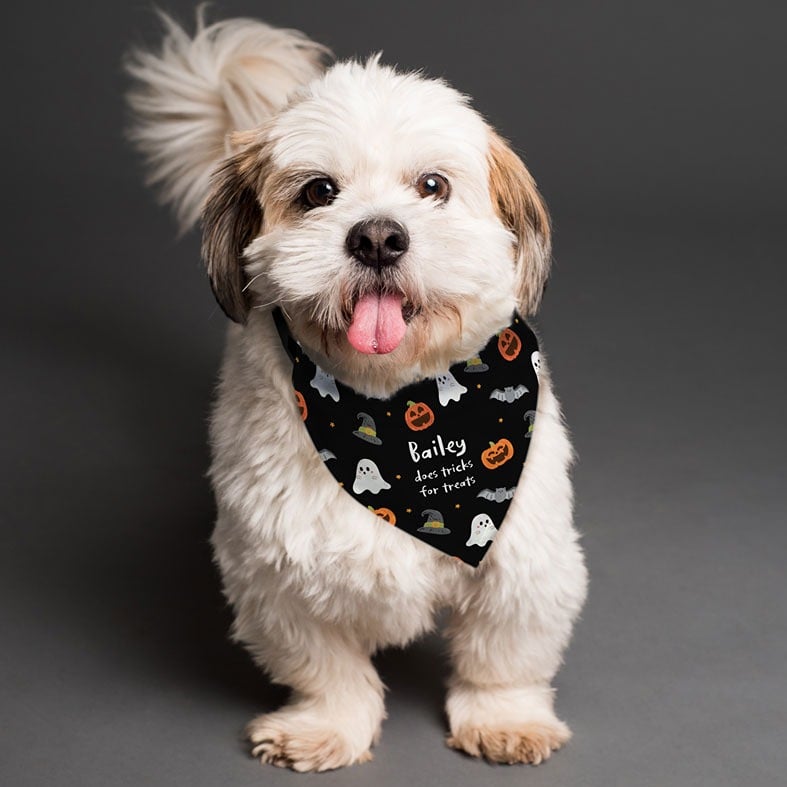 Personalised Halloween Ghost Dog Bandana | Dog Halloween Costume PhotoFairytales