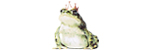frog 150x50