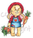 Rosie - Carrot Harvest