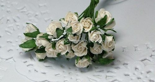 OPEN ROSES (SMALL)