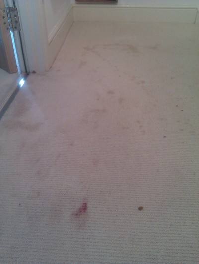 Stained Carpet Before -  swanseacarpetcleaning.co.uk