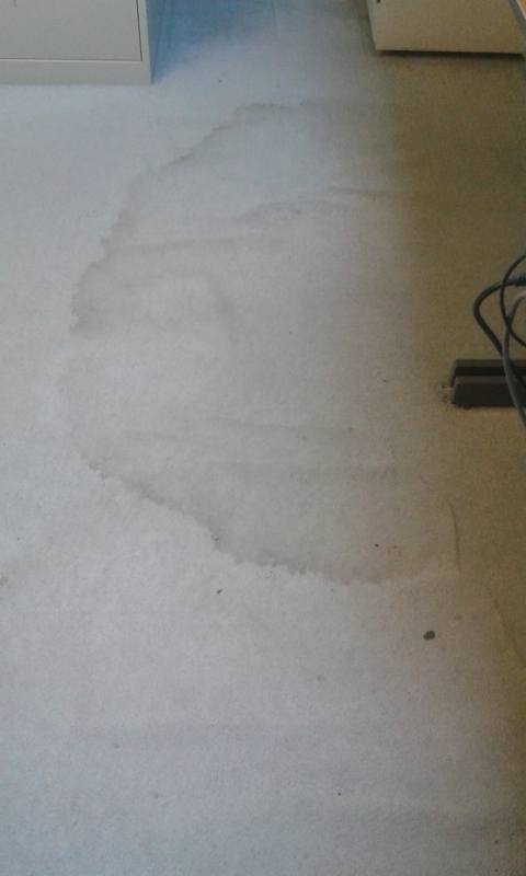 Office Carpet Cleaning - swanseacarpetcleaning.co.uk