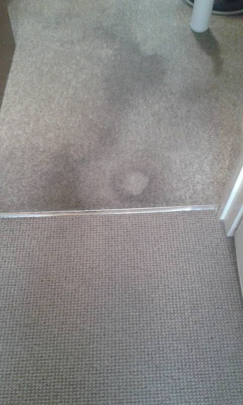 Soiled Domestic Carpet-swanseacarpetcleaning.co.uk