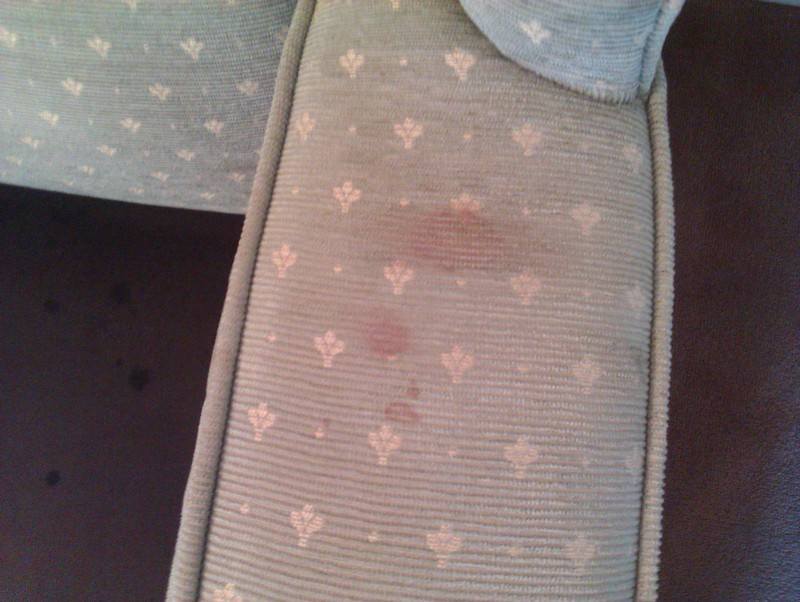 blood on upholstery-swanseacarpetcleaning.co.uk