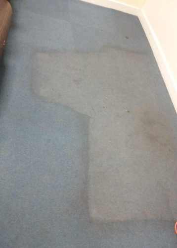 Office Carpet-Swansea Carpet Cleaning