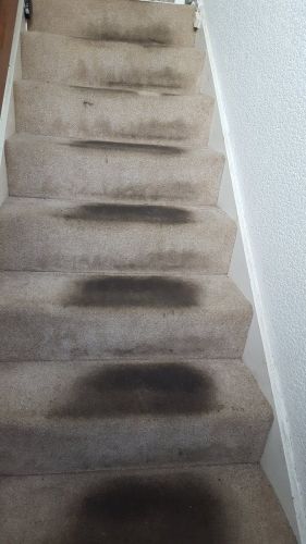 Stairs Before 16 - swanseacarpetcleaning.co.uk