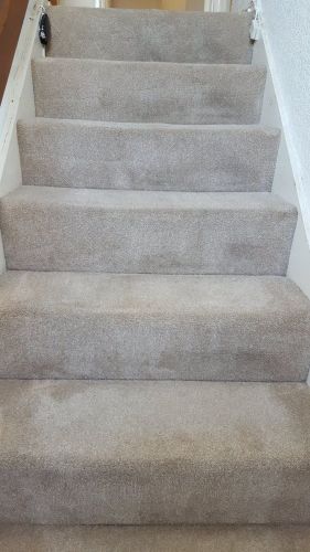 Stairs After 16 - swanseacarpetcleaning.co.uk
