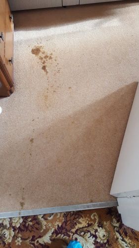 Staining in a Bedroom - swanseacarpetcleaning.co.uk