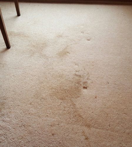Coffee stains 16 - swanseacarpetcleaning.co.uk