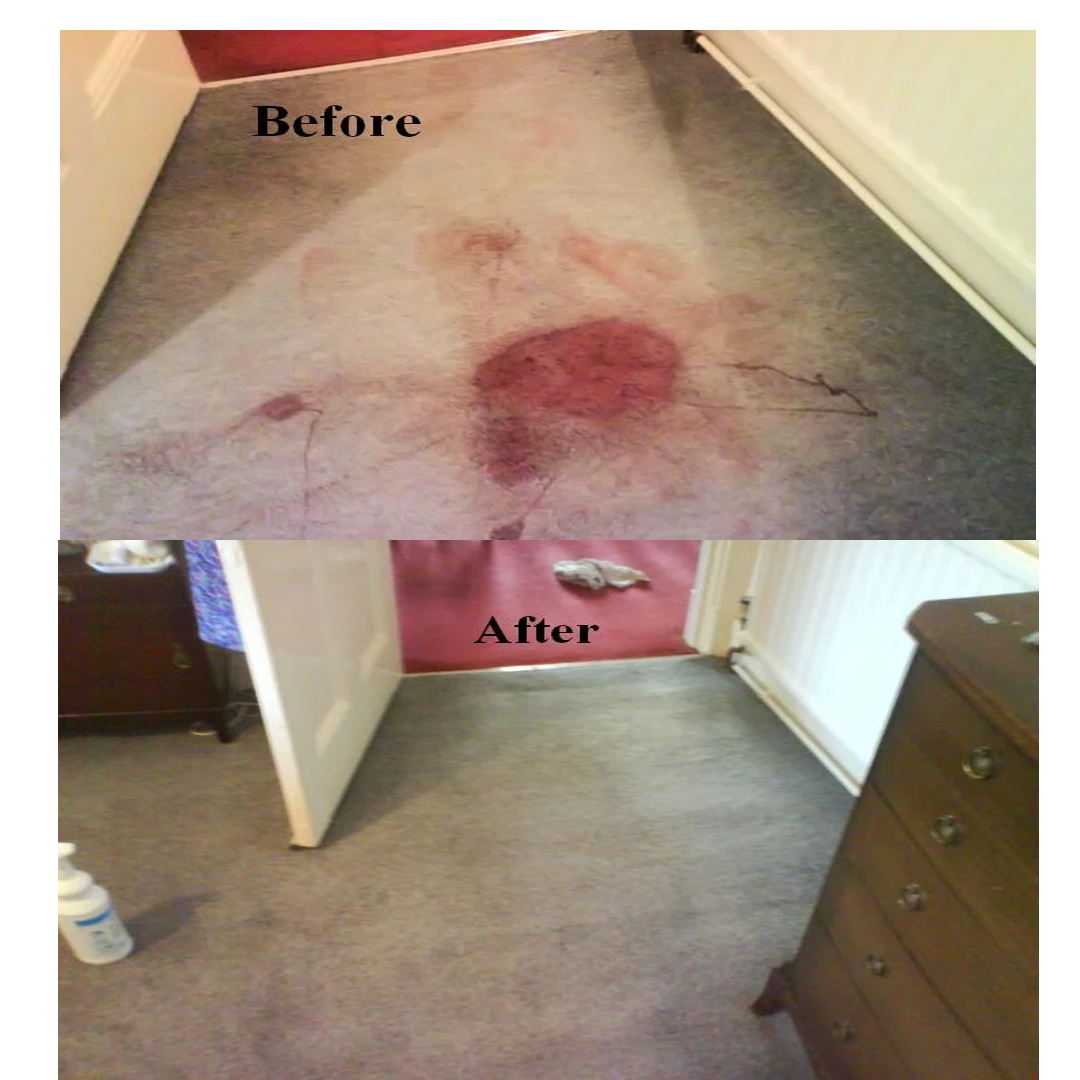 Swansea Carpet Cleaning Before After 2024 Carpet