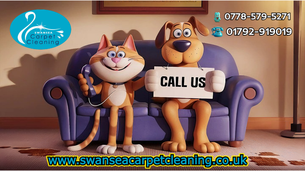 Swansea Carpet Cleaning Sofa Cleaning