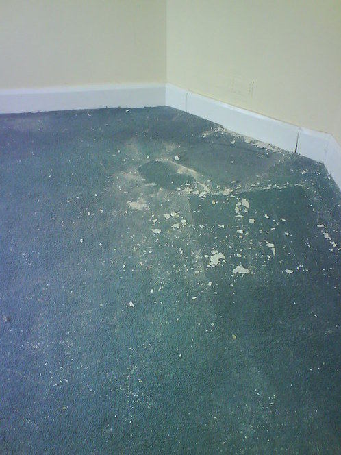 Dirty Carpet Before 3